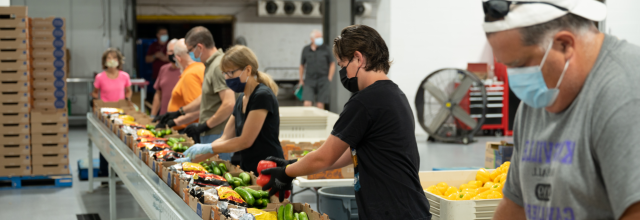 Volunteers prepare boxes of vegetables and fruits to distribute to people experiencing hunger in Canada. (照片:加拿大食品银行)
